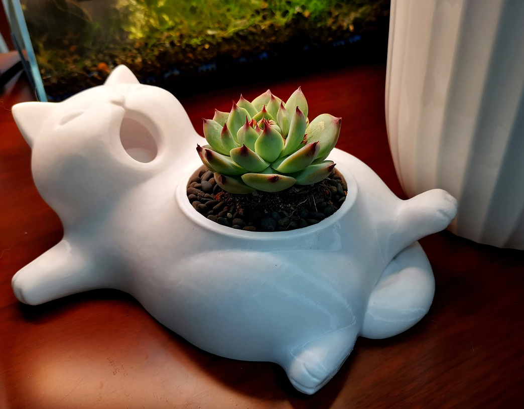 Cat planter