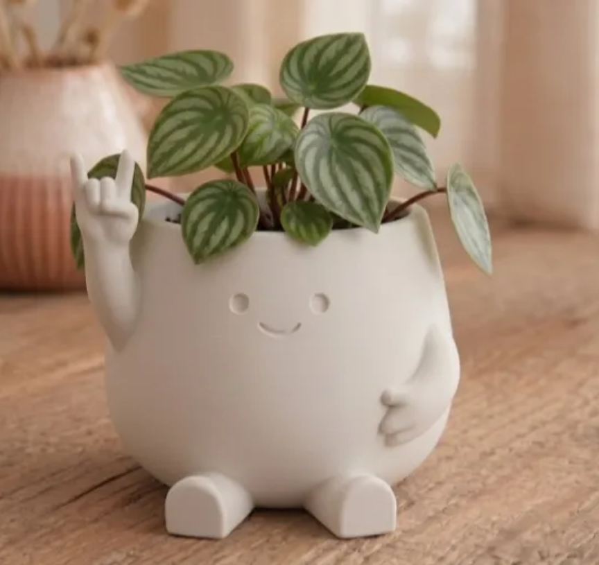 cute happy planter
