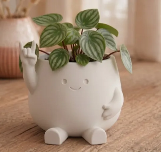 cute happy planter